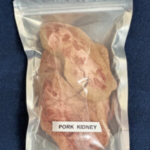 Pork Kidney